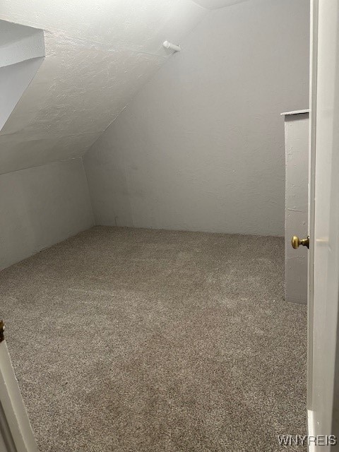 additional living space with carpet, a textured ceiling, and vaulted ceiling