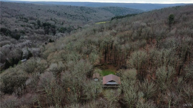 birds eye view of property with a mountain view