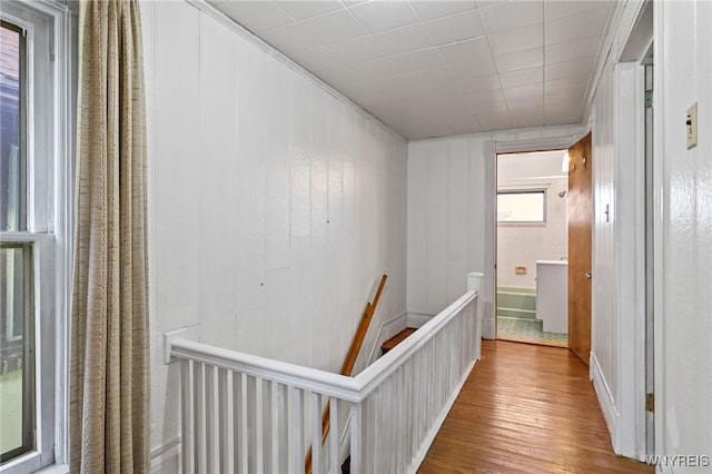 hall featuring hardwood / wood-style floors, wood walls, and ornamental molding