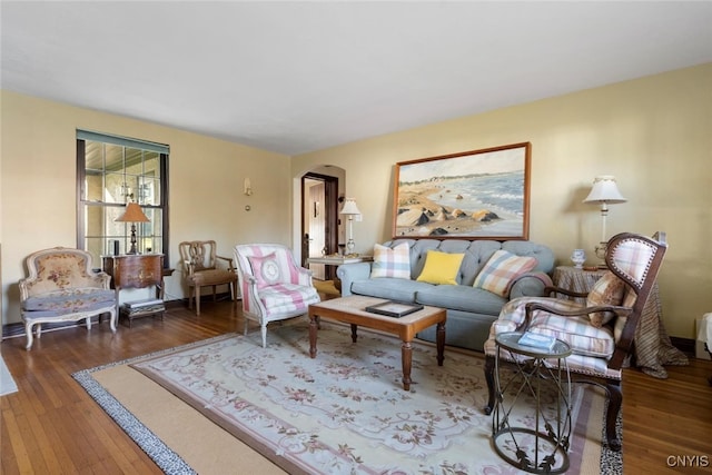 living room featuring dark wood-type flooring