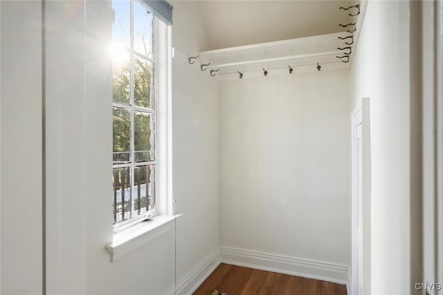 mudroom featuring dark hardwood / wood-style flooring