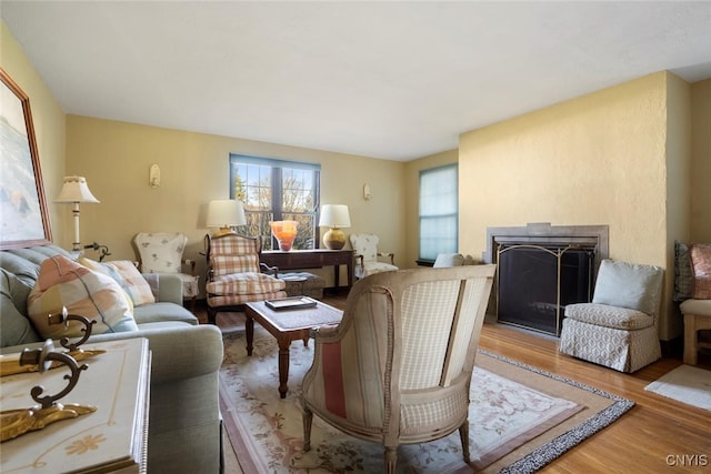 living room featuring wood-type flooring