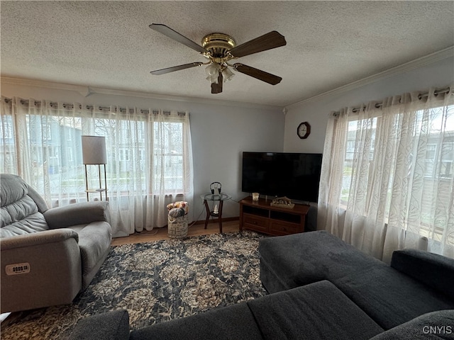 living room with hardwood / wood-style flooring, ceiling fan, ornamental molding, and a textured ceiling