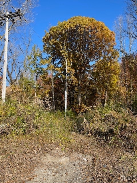 W 11th St, Fulton NY, 13069 land for sale