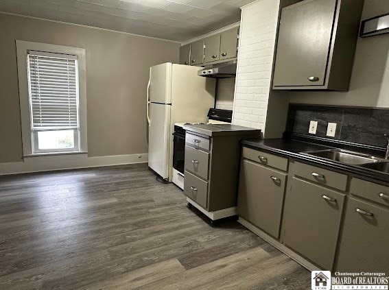 kitchen featuring gray cabinetry, dark wood-type flooring, tasteful backsplash, white stove, and ornamental molding