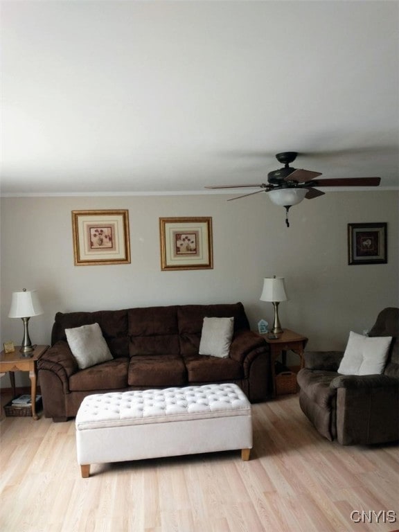 living room with ceiling fan, ornamental molding, and light hardwood / wood-style floors