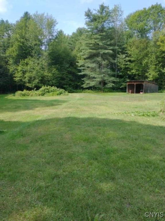 view of yard with an outbuilding