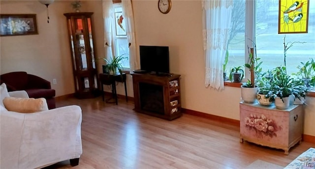 living room featuring a wealth of natural light and light wood-type flooring