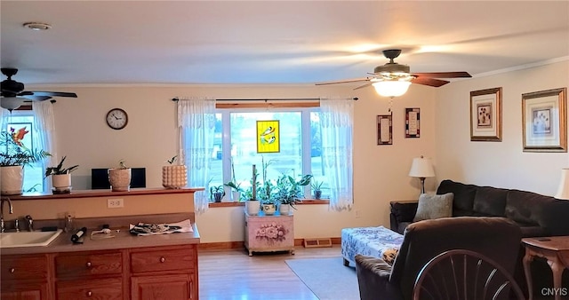 living room featuring sink, crown molding, wood-type flooring, and ceiling fan