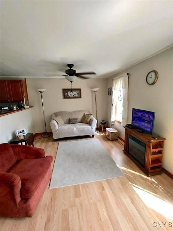 living room featuring ceiling fan and light wood-type flooring