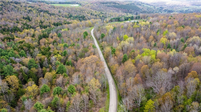 Lang Rd, Spencer NY, 14883 land for sale