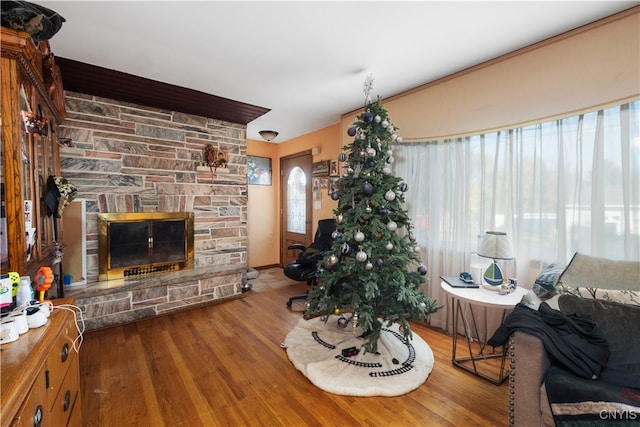 living room with a fireplace and hardwood / wood-style flooring