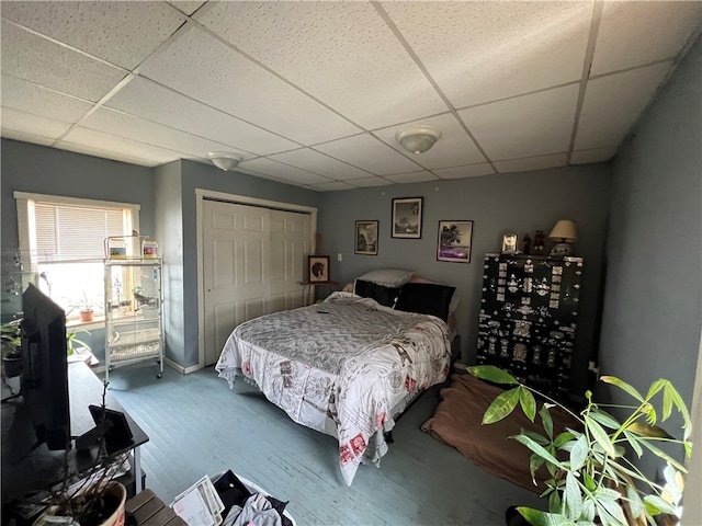 bedroom with hardwood / wood-style flooring, a drop ceiling, and a closet