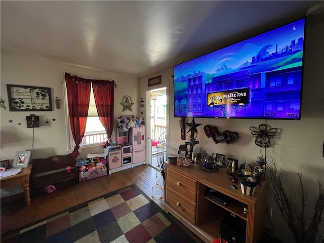 game room featuring hardwood / wood-style floors