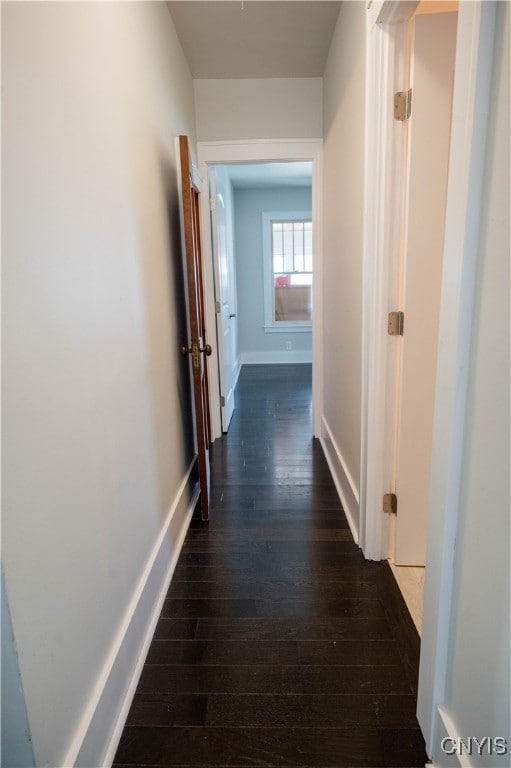 hall featuring dark hardwood / wood-style flooring