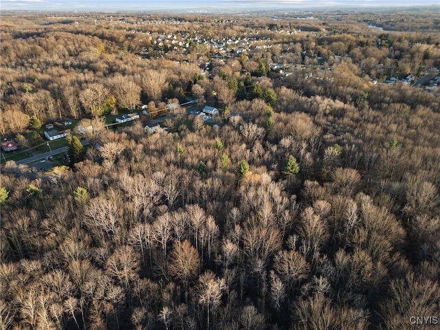 8173 Sixty Rd, Lysander, NY 13027 - photo 9