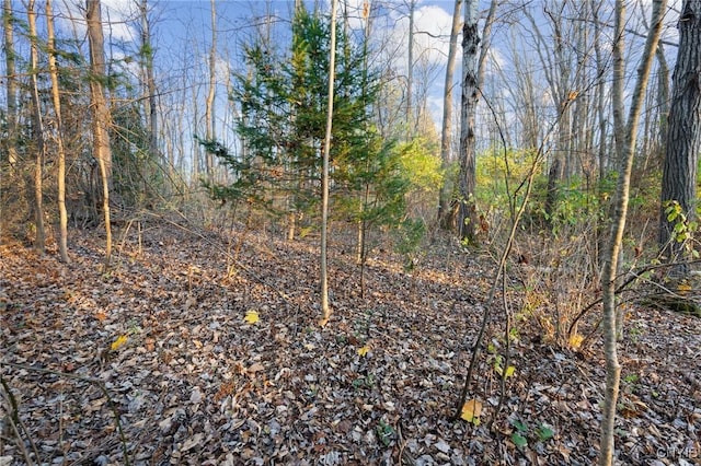 8173 Sixty Rd, Lysander, NY 13027 - photo 17