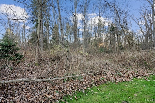 8173 Sixty Rd, Lysander, NY 13027 - photo 18