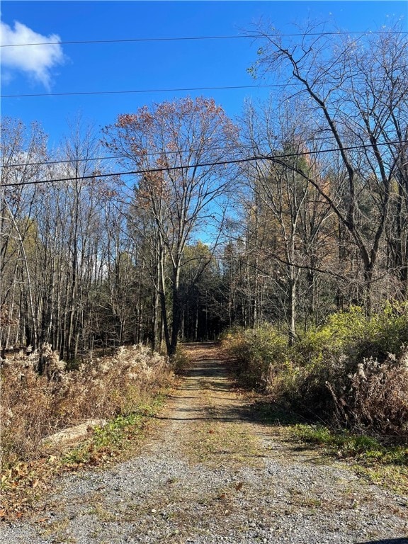 0 Carney Hollow Rd, Springwater NY, 14560 land for sale