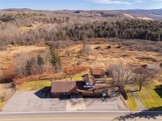 drone / aerial view featuring a mountain view