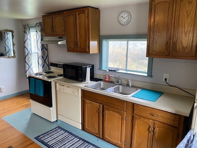 kitchen featuring white appliances, sink, and light hardwood / wood-style flooring