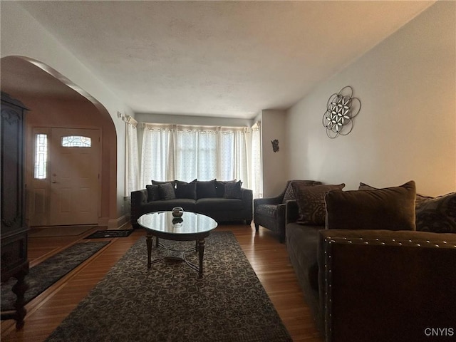 living room featuring wood-type flooring