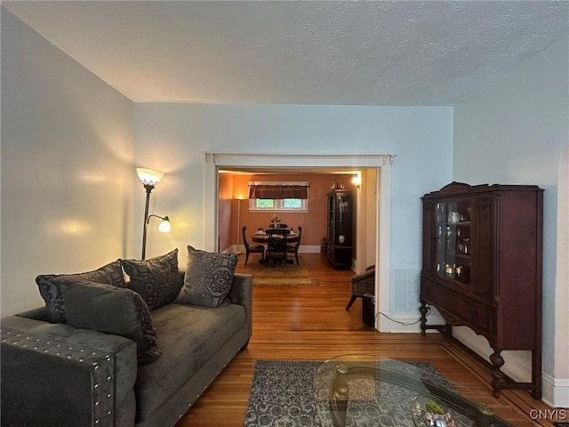 living room with a textured ceiling and hardwood / wood-style flooring