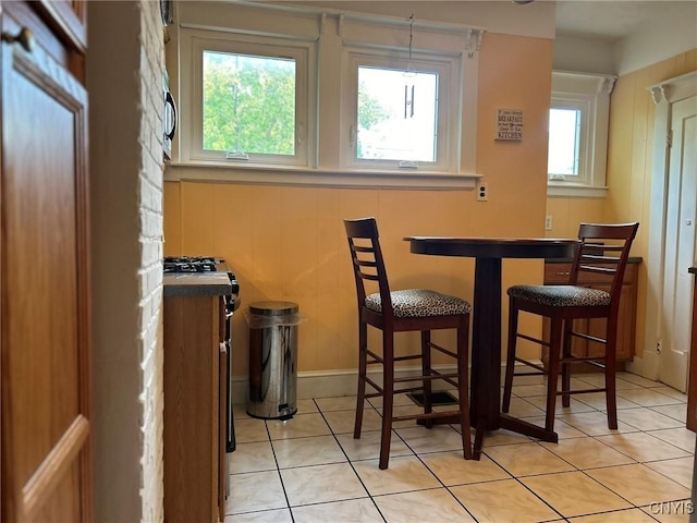 tiled dining area with a healthy amount of sunlight