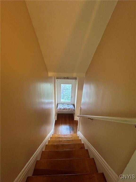 stairs with hardwood / wood-style floors