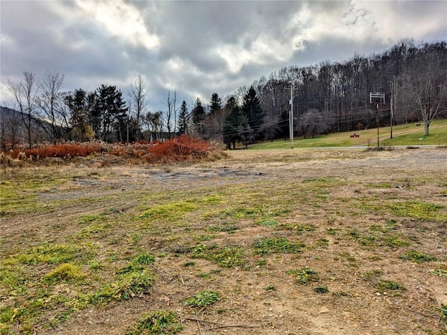 1111 S Ave, Bradford-Town, PA 16701 - view of yard