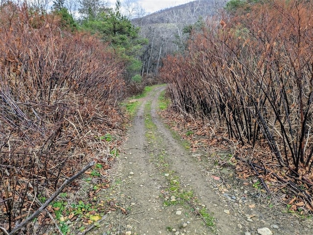 view of road