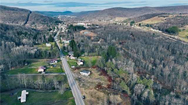 drone / aerial view with a mountain view