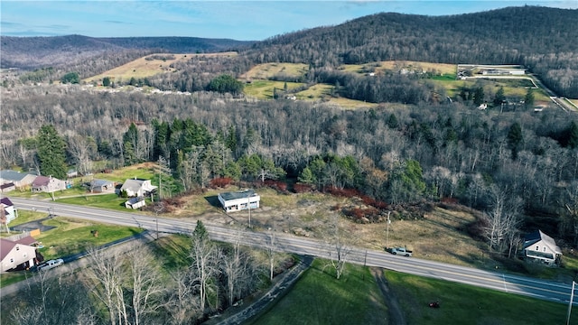 aerial view with a mountain view