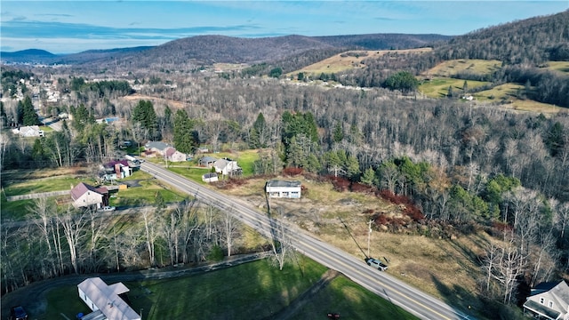 birds eye view of property with a mountain view