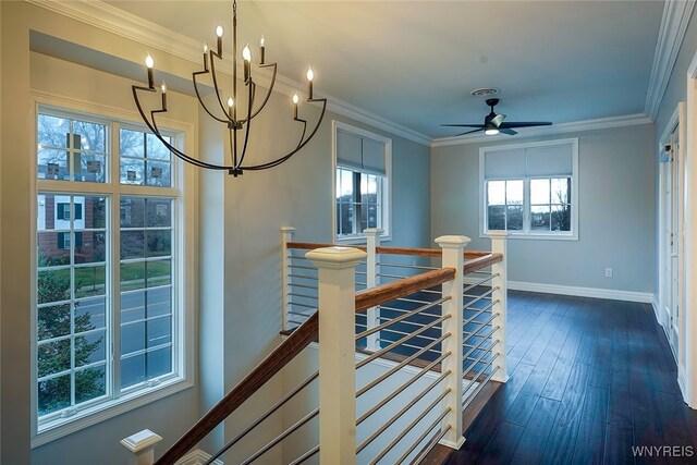 dining room with ceiling fan with notable chandelier, dark hardwood / wood-style flooring, and crown molding