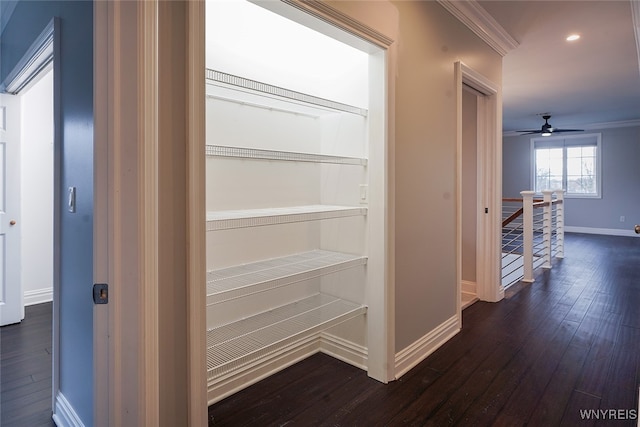 hall with dark hardwood / wood-style floors and ornamental molding