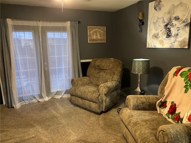 sitting room with carpet floors