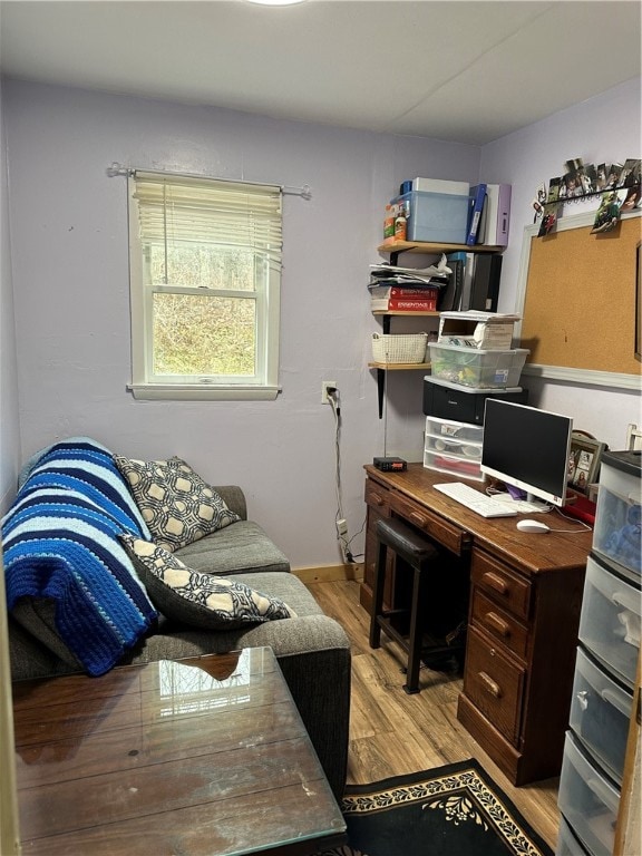 office area featuring light hardwood / wood-style floors