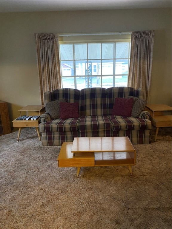 view of carpeted living room