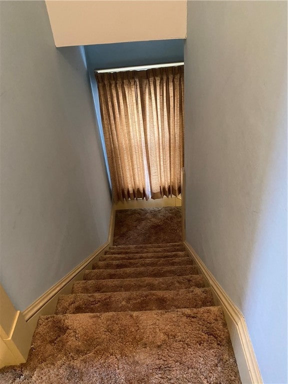 stairs with carpet