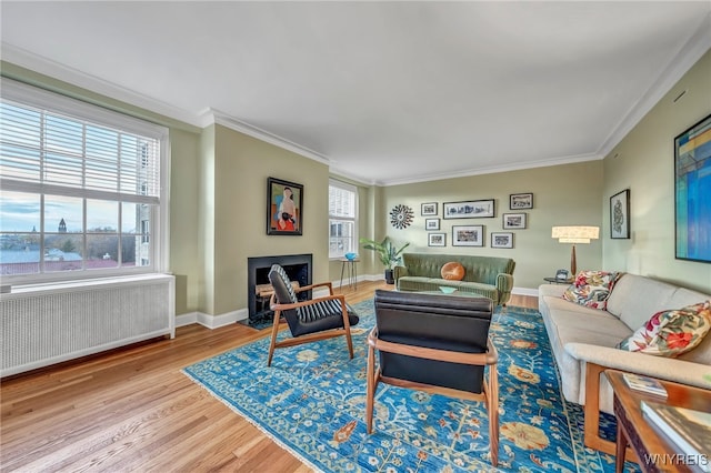 living room featuring radiator, light hardwood / wood-style flooring, a healthy amount of sunlight, and ornamental molding