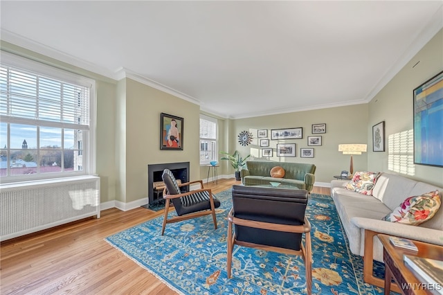 living room with radiator, a wealth of natural light, crown molding, and wood-type flooring