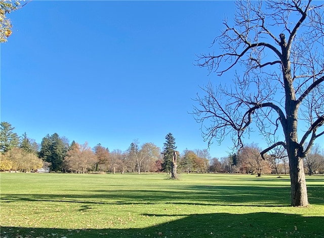 view of community with a lawn