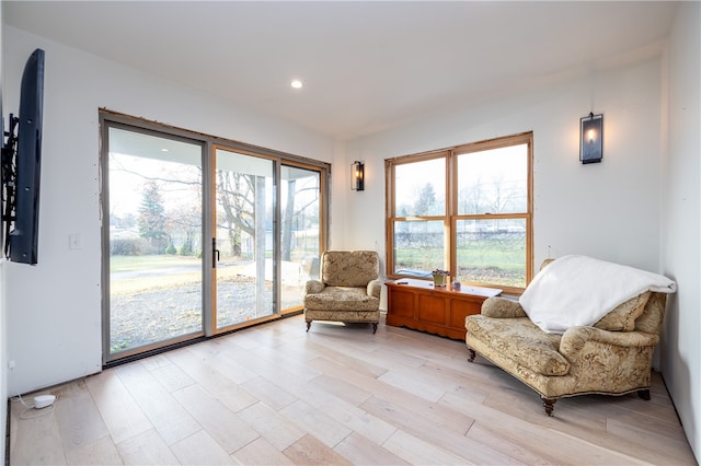 living area featuring light wood-type flooring