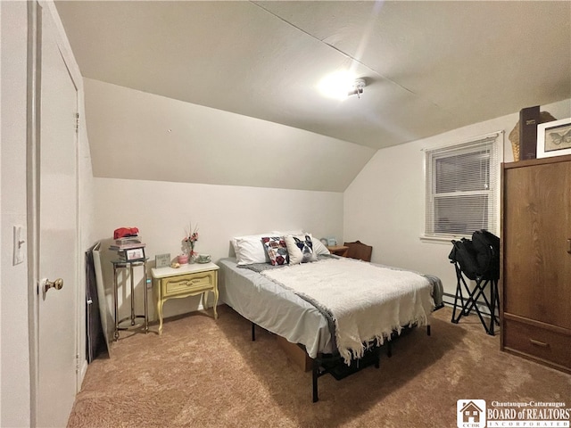 bedroom featuring carpet floors and lofted ceiling