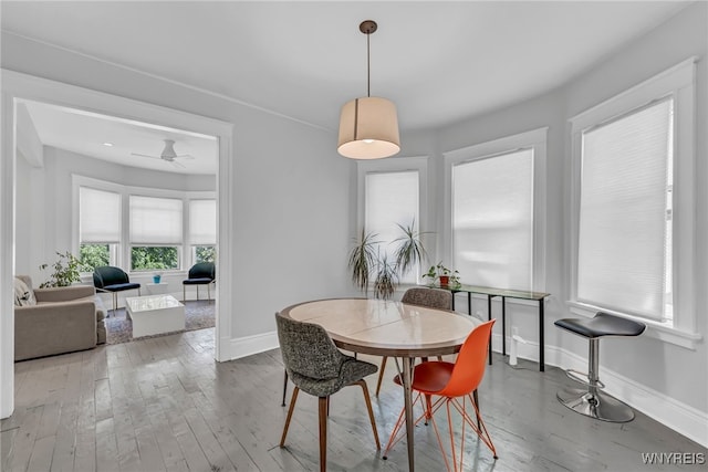 dining area with ceiling fan and wood-type flooring