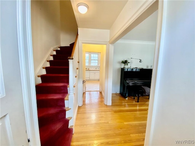 9 Mayfair Ln, Buffalo, NY 14201 - staircase with wood finished floors
