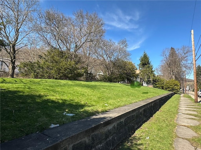 149 Jackson Ave, Bradford City, PA 16701 - photo 19
