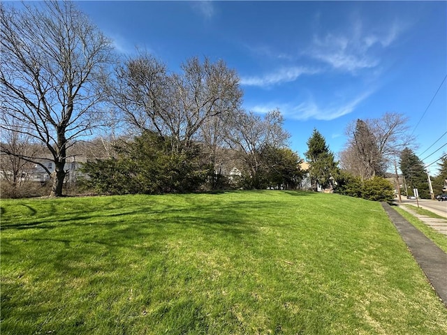 149 Jackson Ave, Bradford City, PA 16701 - photo 23