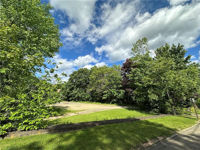 149 Jackson Ave, Bradford City, PA 16701 - photo 9